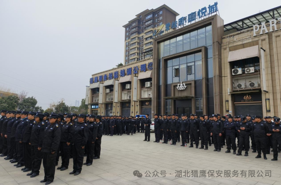 獵鷹保安|護(hù)航“夢(mèng)之藍(lán)M6+襄陽(yáng)群星演唱會(huì)”